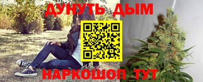 мдпв Кимры