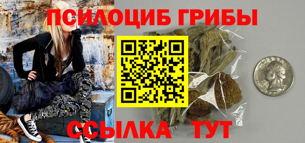 Галлюциногенные грибы Cubensis  цена наркотик  Кисловодск  Вход с VPN  Галлюциногенные грибы Psilocybine cubensis 